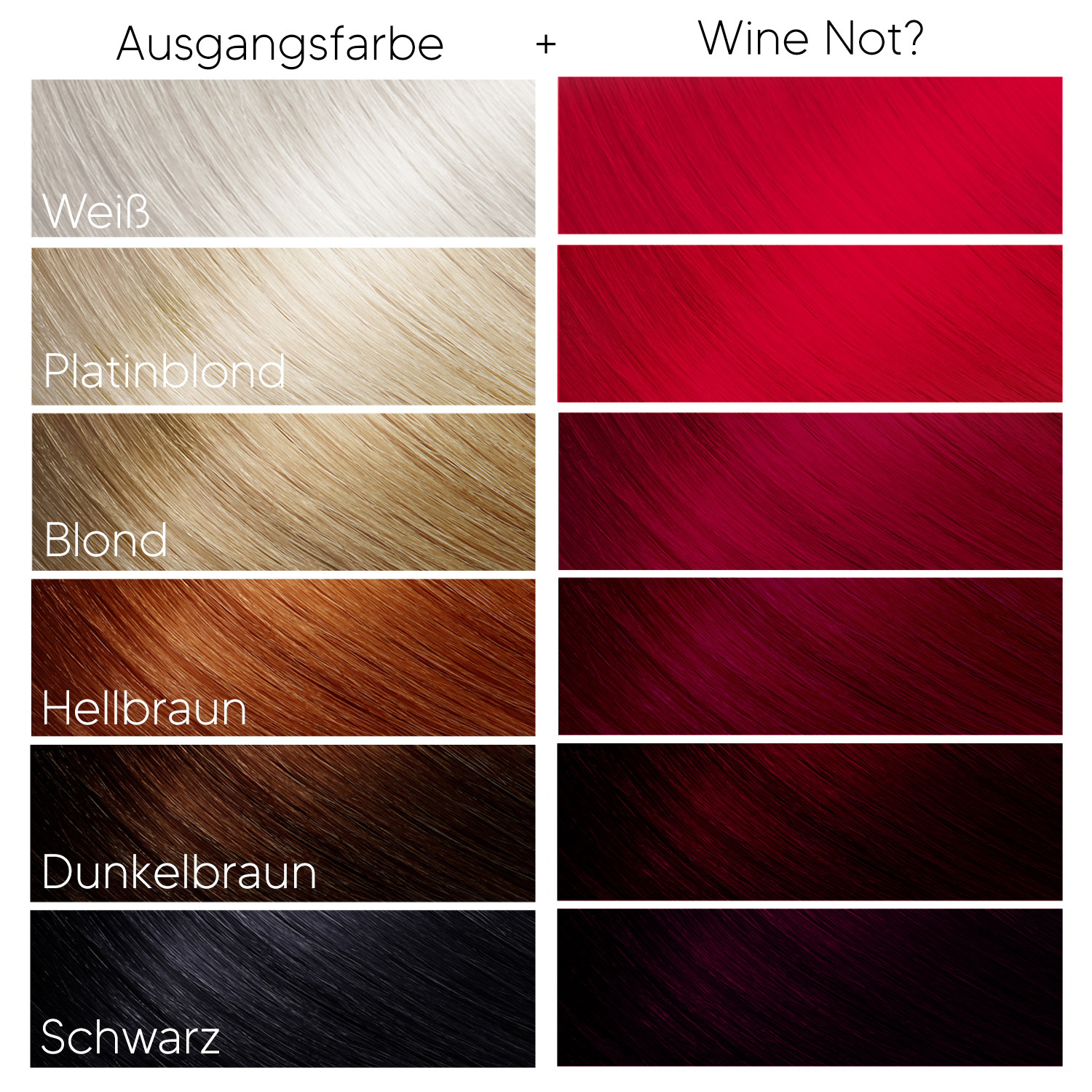 Headshot Wine Not? Headshot Wine Not?