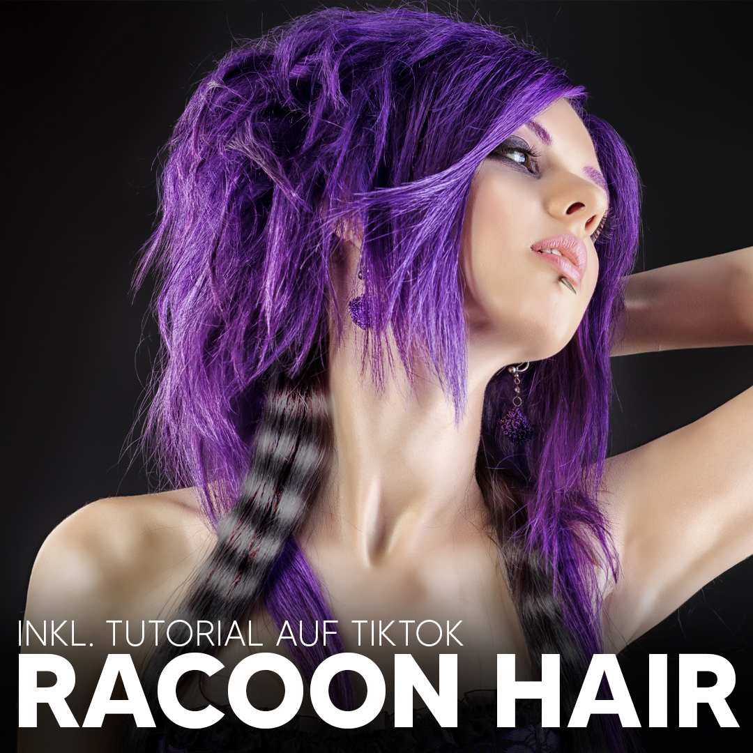 Racoon_02